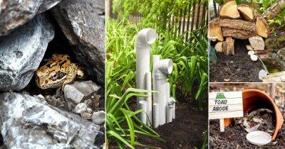 22 DIY Frog House Ideas to Kill Pests Naturally - balconygardenweb.com