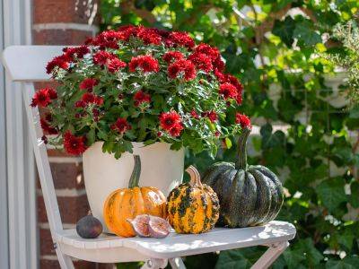 10 Best Plants To Gift At Thanksgiving - gardeningknowhow.com