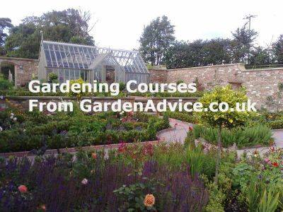 The perfect Christmas gardening present for the gardener in your life - gardenadvice.co.uk - Britain