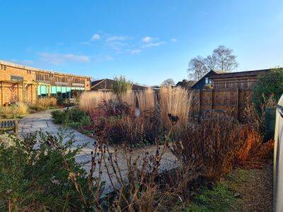 Make your garden a wildlife hub this winter - theenglishgarden.co.uk