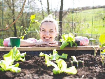 Gardening For Mental Health: How & Where To Start - gardeningknowhow.com