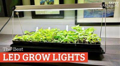 The Best LED Grow Lights for Indoor Gardening - savvygardening.com