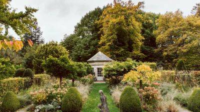 How to make the most of colour in the autumn garden | House & Garden - houseandgarden.co.uk