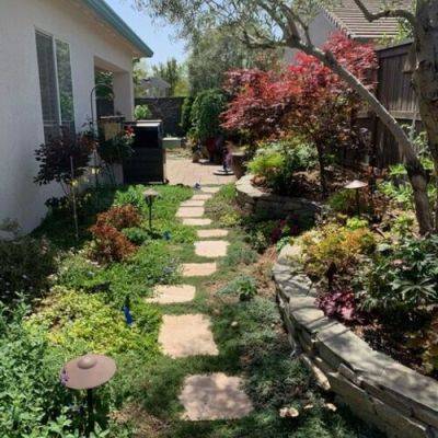 Kathy’s Garden Transformation in Sacramento - finegardening.com - state California