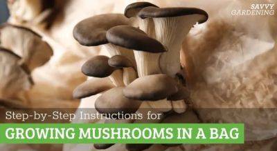 Growing Mushrooms in a Bag: Step-by-Step-Instructions - savvygardening.com