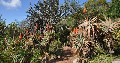 Gardens to visit in South Africa - gardenersworld.com - Britain - South Africa