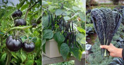 21 Black Vegetables You Can Grow - balconygardenweb.com
