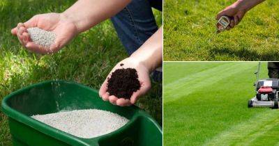 How Often Can I Apply Sulfur to My Lawn | Sulfur Application in Garden - balconygardenweb.com - county Garden