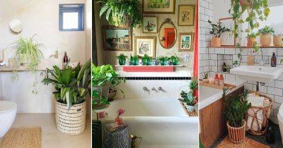 8 Tricks to Keep Plants Healthy in a Bathroom - balconygardenweb.com