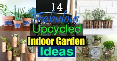 14 Fabulous Upcycled Indoor Garden Ideas - balconygardenweb.com