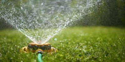 Lawn Watering Tips: When Is the Best Time to Water Your Lawn? - goodhousekeeping.com