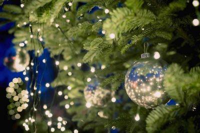 We've Been Lighting Our Christmas Trees All Wrong—Here's What to Do - thespruce.com