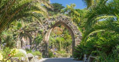 Gardens to visit in the Isles of Scilly - gardenersworld.com - Britain - South Africa - Brazil - New Zealand - state California