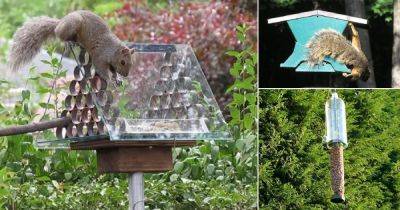 8 DIY Squirrel Proof Bird Feeder Ideas - balconygardenweb.com