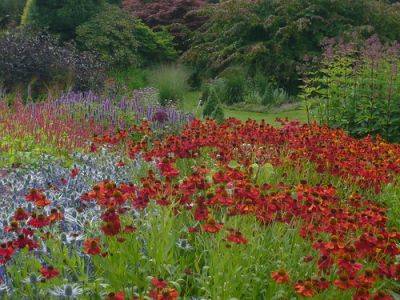 Floral Vistas Plan Before Planting - gardenerstips.co.uk