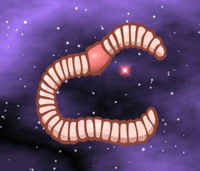 I’ve got worms in my bath! - theunconventionalgardener.com