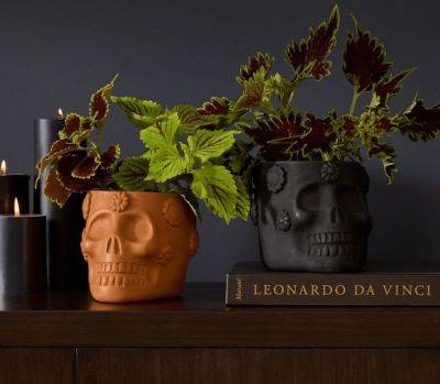 Can't Wait for Halloween? 10 Items to Get Spooky Season Started Early - thespruce.com - Mexico