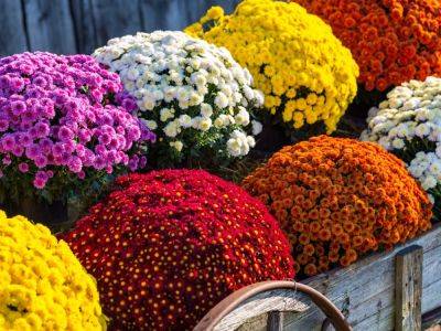Fall Flower Arrangements For Front Porch Decor - gardeningknowhow.com