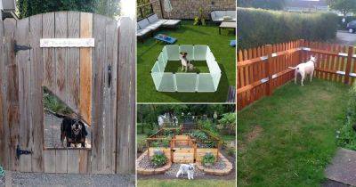 18 Easy to Make DIY Dog Fence Ideas for the Garden - balconygardenweb.com
