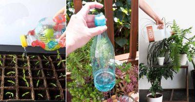 24 DIY Indoor Plant Watering Can Ideas - balconygardenweb.com