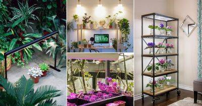 17 DIY Heat Lamps for Plants Ideas that You Must Try - balconygardenweb.com