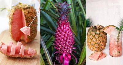 What is Pink Pineapple and How to Grow It - balconygardenweb.com - Canada