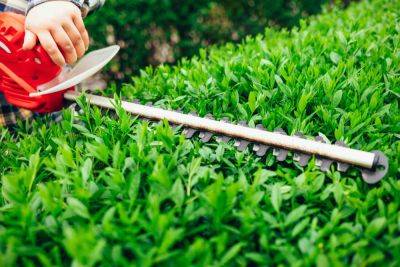 Tool hire for gardeners: essential equipment to enhance your garden - growingfamily.co.uk