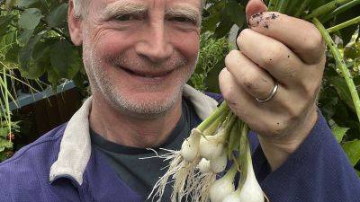 How to grow LOTS of spring onions / scallions in one pot - verticalveg.org.uk