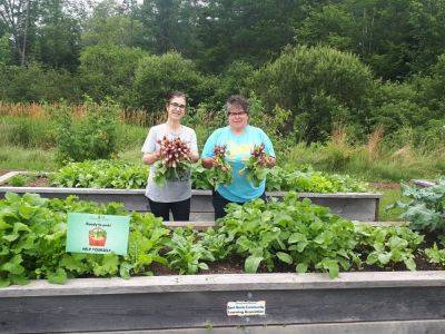 Elmsdale Community Garden - Our 2022 Grant Recipient - gardeningknowhow.com - Canada