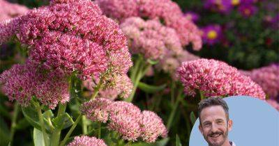 Do plant names really have to keep changing? - gardenersworld.com