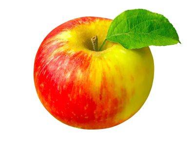 Why do some apples have more than one colour? - theprovince.com