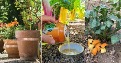 39 Bizarre Pest Control Remedies and Ideas for Gardeners - balconygardenweb.com
