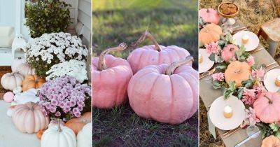 7 Best Pink Pumpkin Varieties | Pink Pumpkin Meaning and Uses - balconygardenweb.com - France - Italy