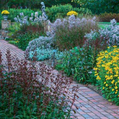 Native Plants with Show-Stopping Autumn Color - finegardening.com - Cuba - state Delaware