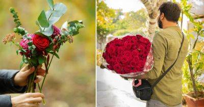 What Does It Mean When Someone Gives You a Red Rose? - balconygardenweb.com