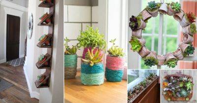 45 Unique DIY Succulent Planter Ideas for 2024 - balconygardenweb.com