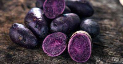 13 of the Best Purple and Blue Potato Varieties - gardenerspath.com - Japan