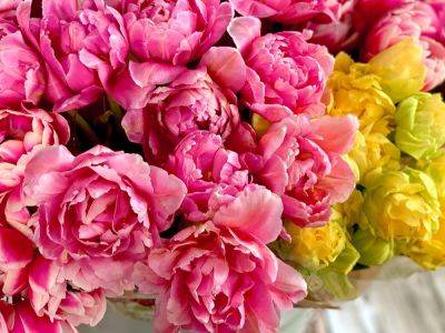 It May Be Winter, But You Can Still Get Your Peony Fix at Trader Joe's - bhg.com