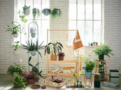 Bring Greenery to Small Spaces and Beyond with IKEA's new Collection - bhg.com - city Boston