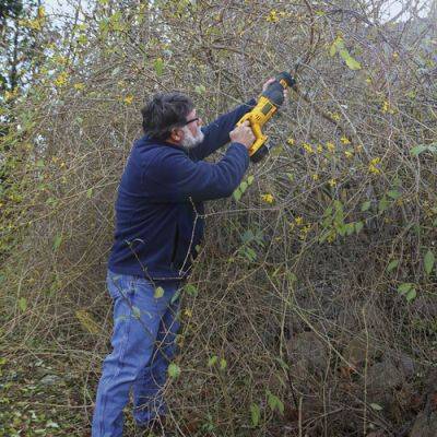 How to Prune Commonly Overgrown Shrubs - finegardening.com