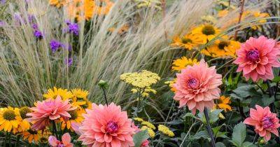 60 Types of Flowers for Every Garden - gardenersworld.com