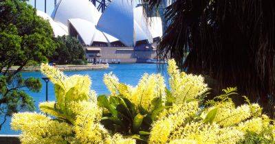 Gardens to visit in New South Wales and Queensland, Australia - gardenersworld.com - Britain - Australia - county Valley