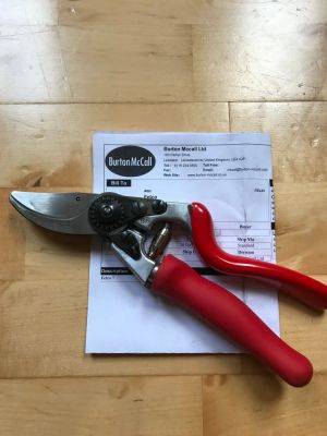 My Secateurs are just like new! - clairesallotment.com