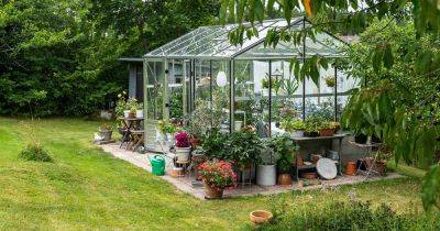 When and How to Start Seeds in a Greenhouse - gardenerspath.com