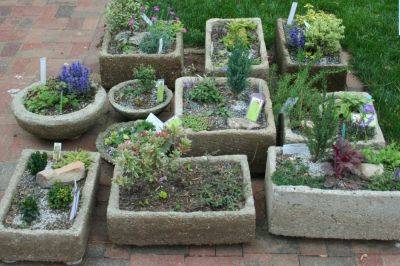 How to make a Hypertufa trough - backyardgardener.com - Usa - county Garden