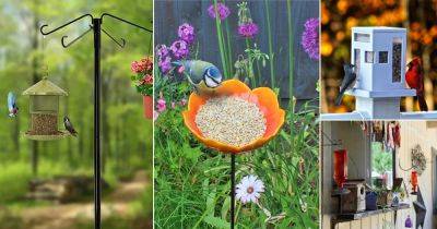 14 Ideas to Hang a Bird Feeder Without a Tree - balconygardenweb.com