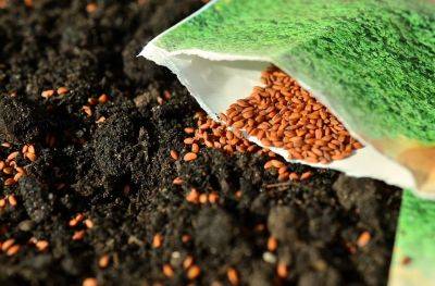 Growers Guide for Starting Seeds Indoors - backyardgardener.com - state California