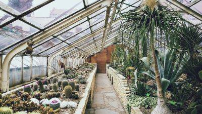 Tips for Cleaning Your Greenhouse - backyardgardener.com