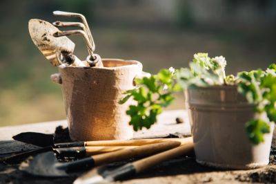 20 must have garden tools - theenglishgarden.co.uk - Britain