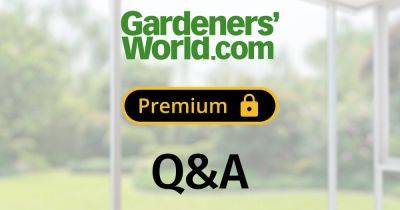 Monthly Q&A February 2024 - gardenersworld.com